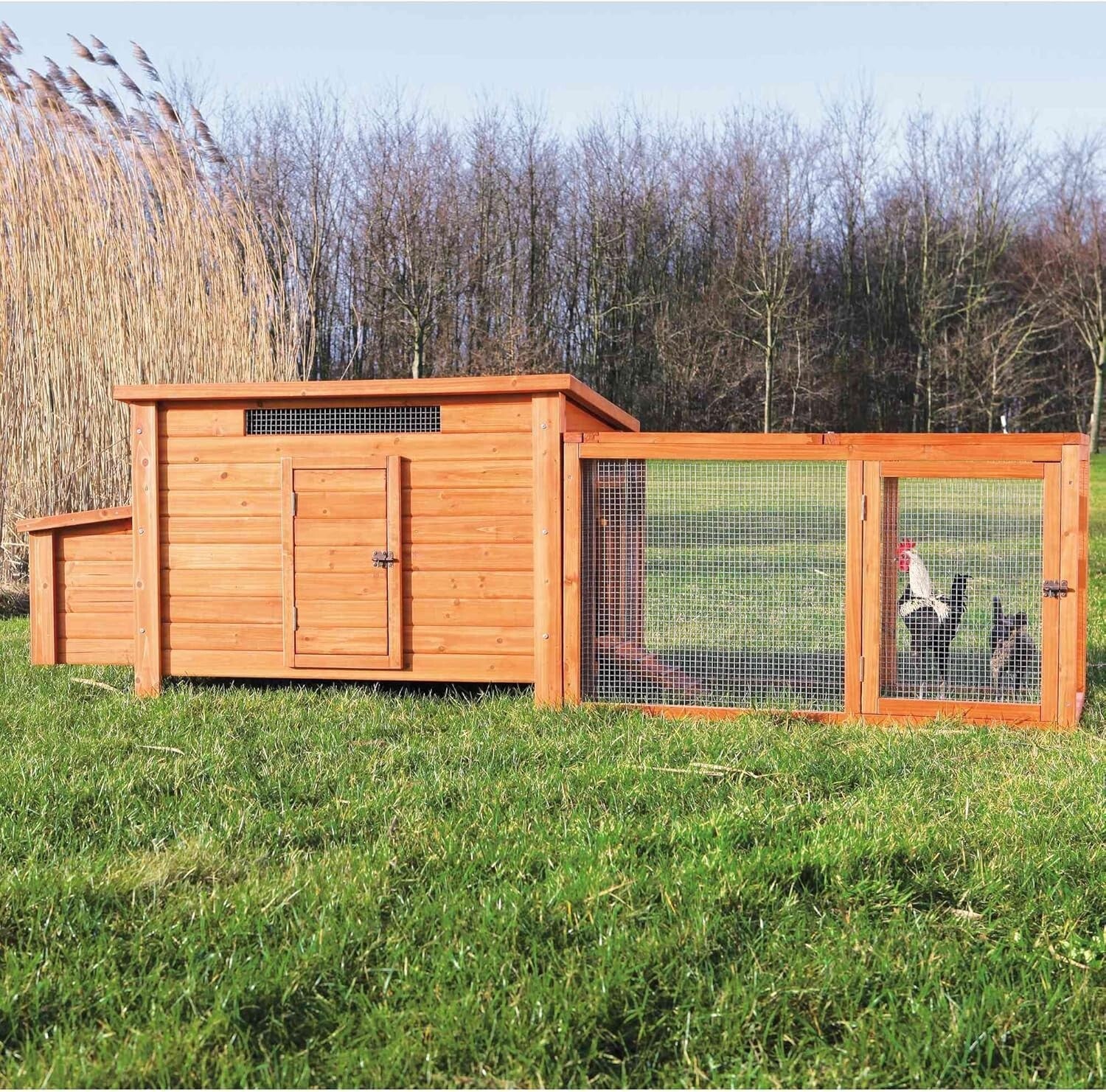 Compact Chicken Run for Small Animals with Mesh Cover - Safe, Stylish, 45"x27"