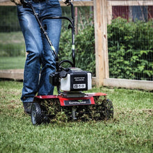 Load image into Gallery viewer, Lightweight 15 lb Dethatcher Kit for Cultivators - Easy Thatch Removal Tool