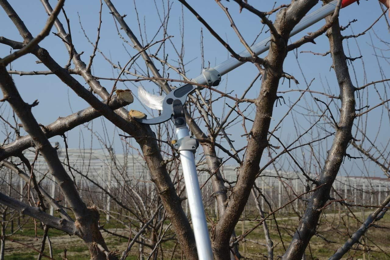 Durable Carbon Steel Bypass Lopper with Aluminum Handles - 1.6'' Cutting Width