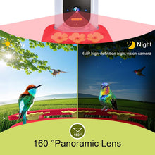 Load image into Gallery viewer, Ultimate Hummingbird Feeder with 4K Camera—AI Species Identifier &amp; Notifications