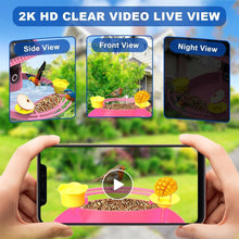Load image into Gallery viewer, Smart Solar-Powered Bird Feeder with AI Recognition &amp; Built-In Camera – Pink