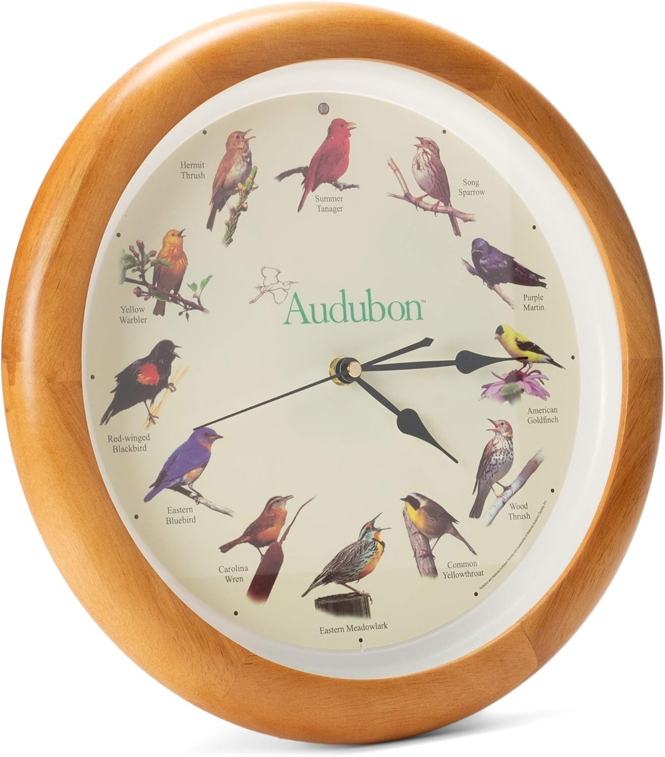 Educational Singing Bird Wall Clock with Light Sensor - 13 Inch Oak Frame
