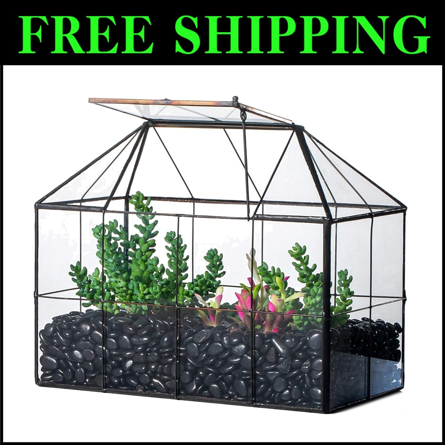 9.84 x 5.31 x 7.87 Black Glass Terrarium - Perfect for Indoor Cacti & Succulents