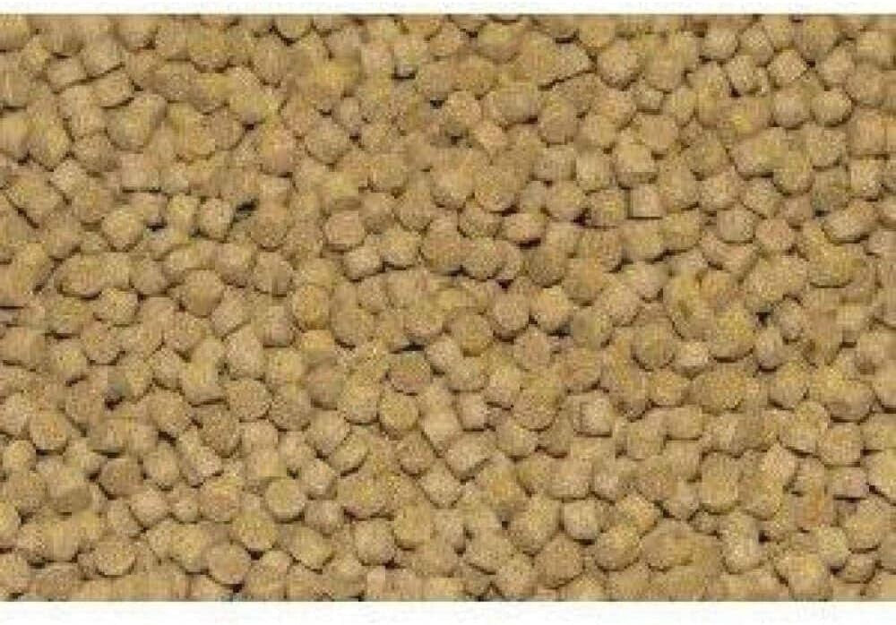 All-Natural 1kg Cichlid Formula – Slow Sinking 3mm Pellets for Vibrant Health