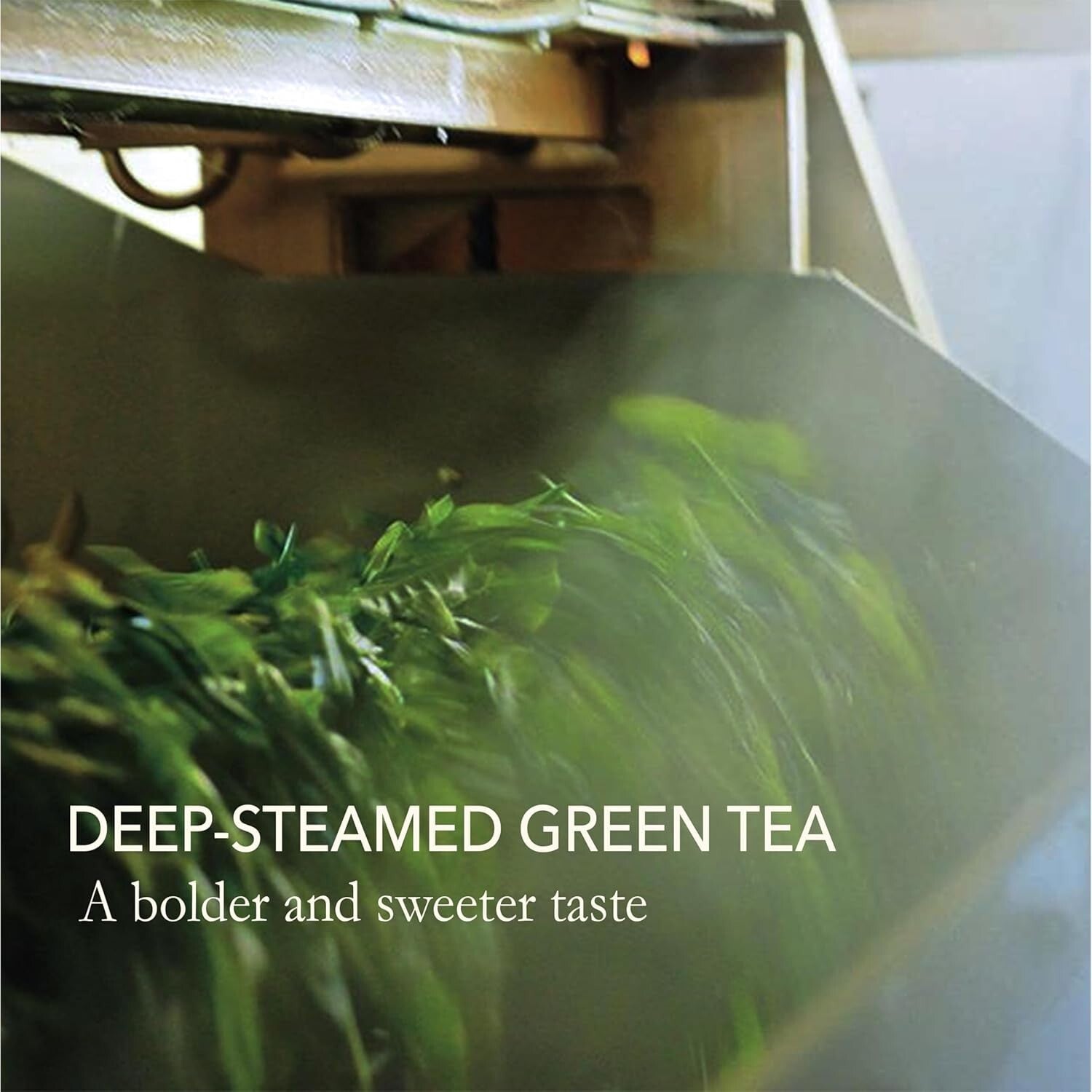 Authentic Loose Leaf Green Tea - Highest Quality 100-Pack for Tea Connoisseurs