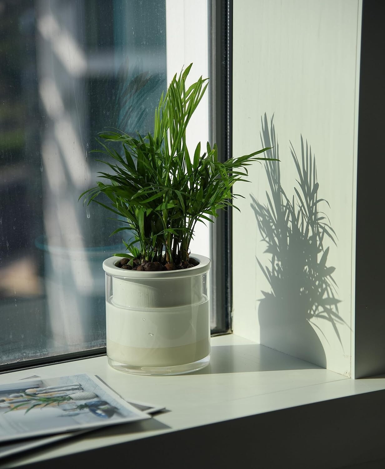 Elegant 4" Modern Terracotta Pots with Glass | Indoor Self-Watering Planters