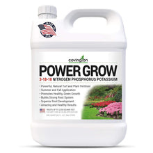 Load image into Gallery viewer, Liquid Lawn Food 3-18-18: Powerful Fertilizer for Healthy Roots &amp; Grass (32 oz)