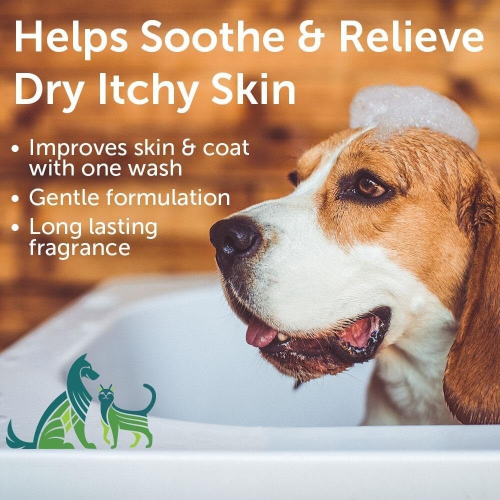 Vegan-Friendly Aloe & Oatmeal Shampoo for Dogs & Cats - 1 Gallon Cucumber Melon