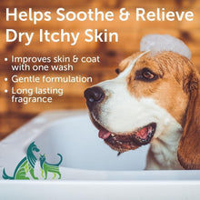 Load image into Gallery viewer, Vegan-Friendly Aloe &amp; Oatmeal Shampoo for Dogs &amp; Cats - 1 Gallon Cucumber Melon