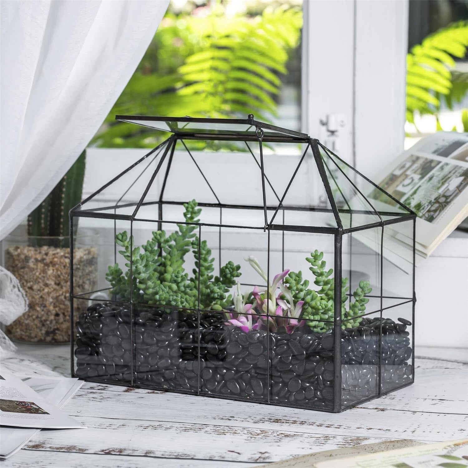 9.84 x 5.31 x 7.87 Black Glass Terrarium - Perfect for Indoor Cacti & Succulents