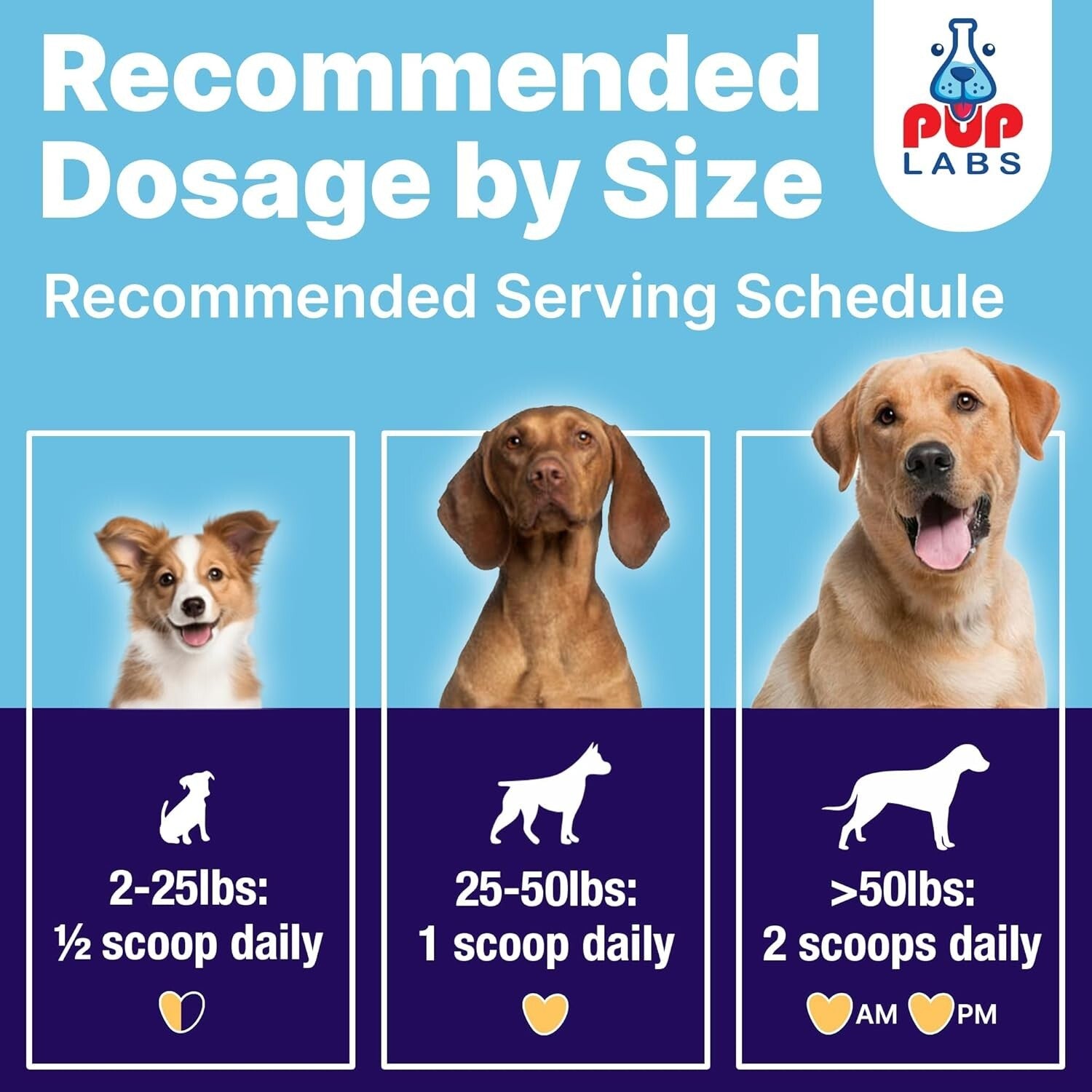 Easy-to-Use ProDenta Dog Dental Powder for All Breeds - Perfect Breath Solution