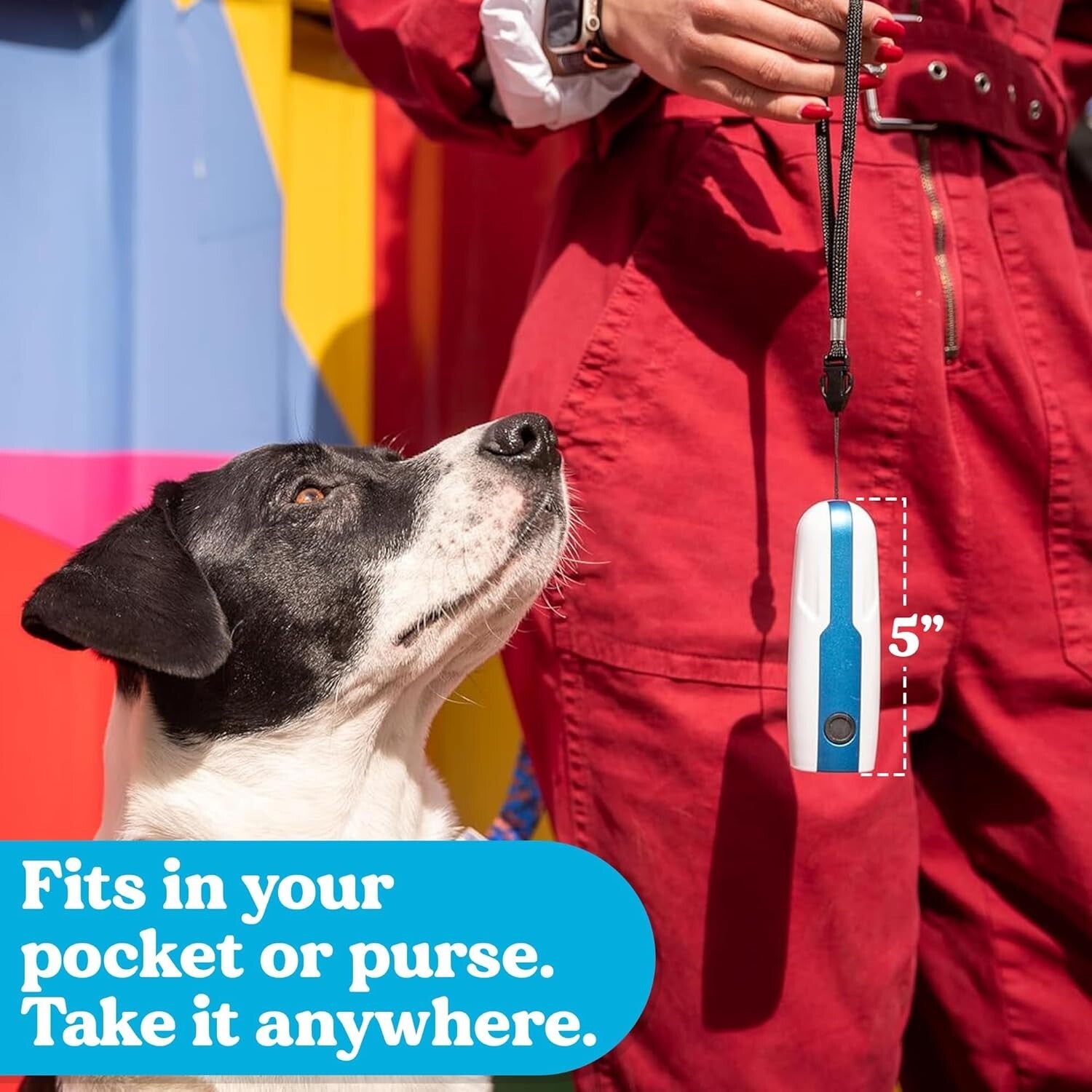 Electronic Dog Training Bark Control Device - Train Unwanted Behaviors Safely