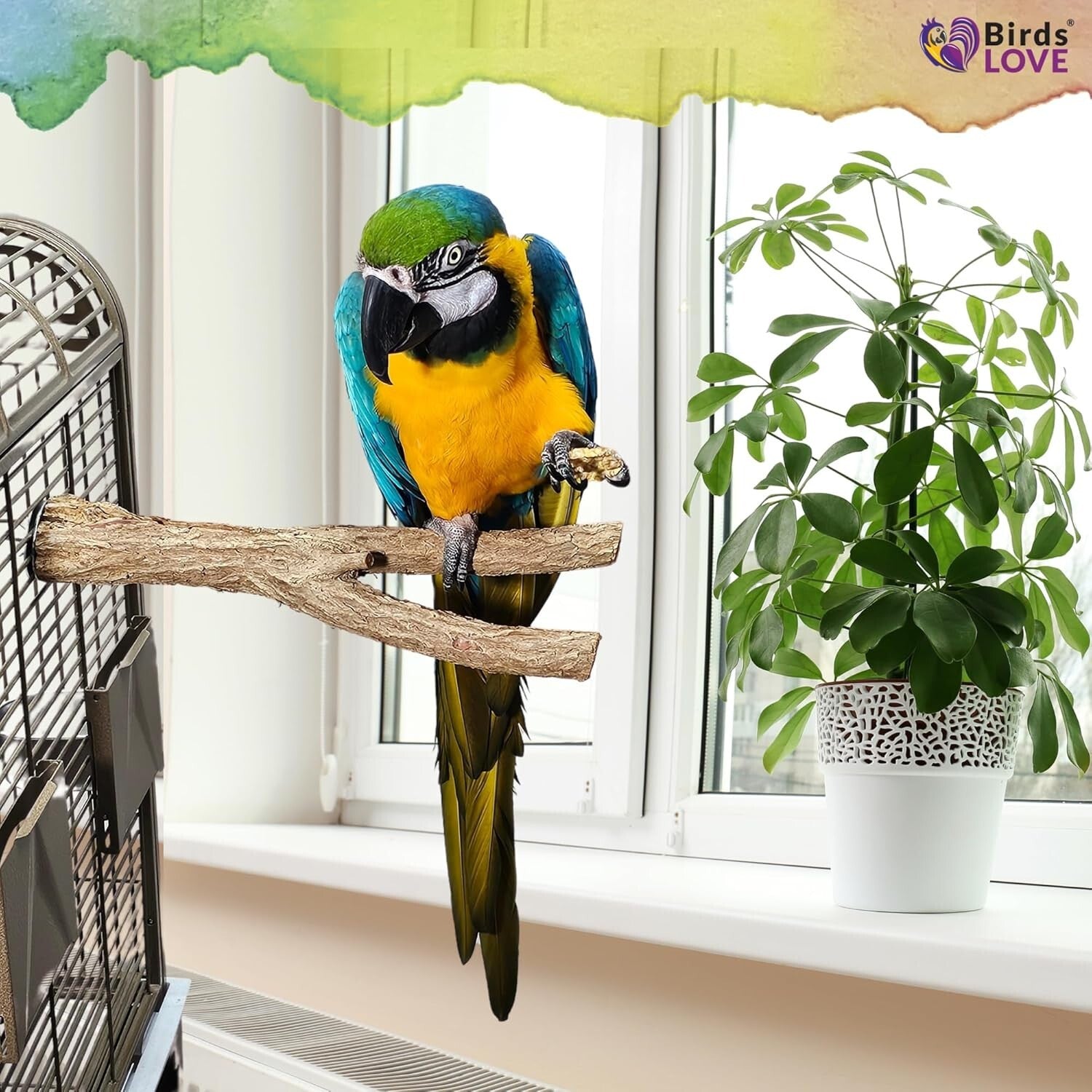 Large Natural Wood Bird Perches for Macaws & Large Parrots – Eco-Friendly Stands