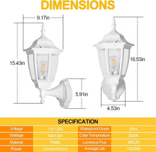 Load image into Gallery viewer, Dusk to Dawn Outdoor Wall Light - 2-Pack LED Edison Lanterns for Modern Patios