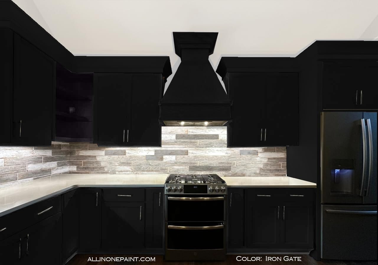 All-in-One Waterproof Paint - Matte Finish for Interior/Exterior Use, Iron Gate