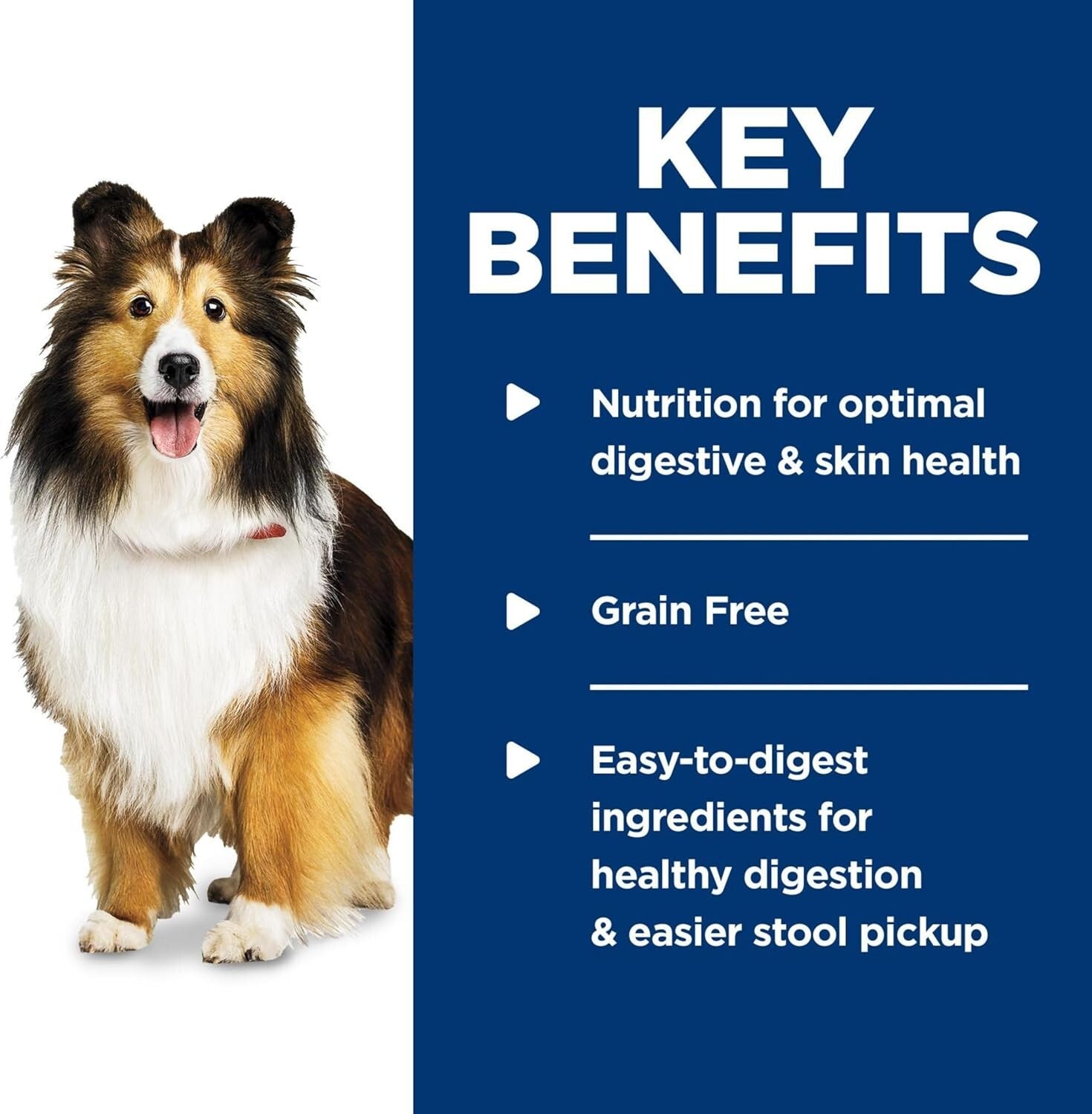 Premium Grain-Free Dog Food for Sensitive Skin & Stomach, 12.8 oz Can, 12 Count