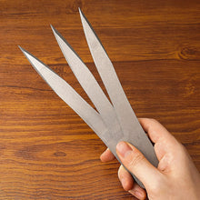 Load image into Gallery viewer, Spear Point Throwing Spike Set (6-Pack) with Protective Sheath for Outdoor Fun