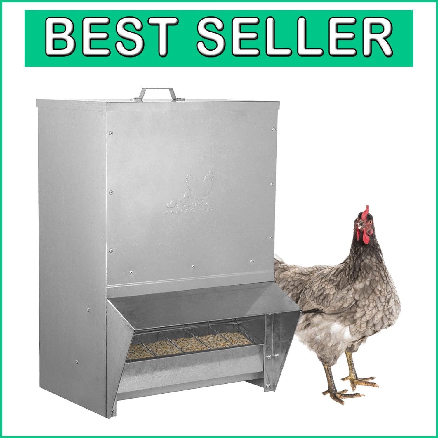 50LB Waterproof Wall-Mounted Metallic Trough Poultry Feeder - No Waste Design