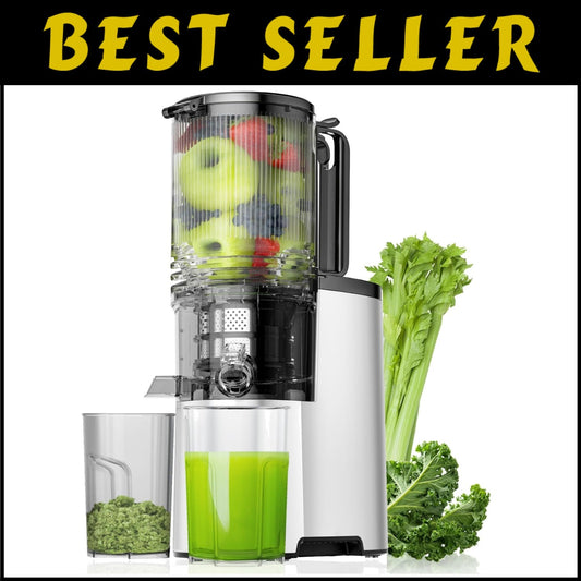 Elegant 5.8" Chute Juice Extractor with 400W Power for Whole Fruits & Veggies