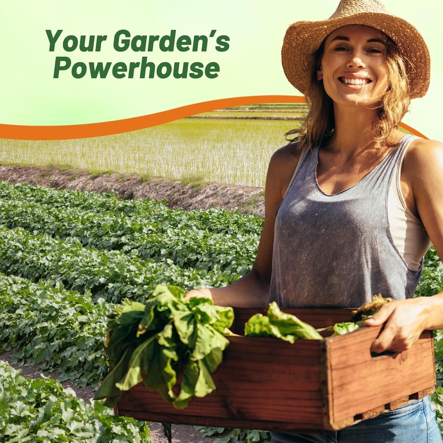 Drought Tolerant 10 lbs. Daikon Radish Seeds - Improve Soil & Grow Fresh Veggies