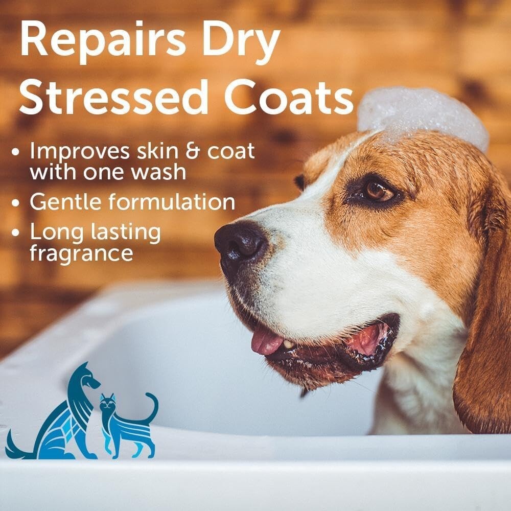 Cruelty-Free Sweet Pea & Vanilla Shampoo for Pets - 1 Gallon Jojoba Oil Formula