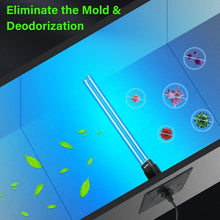 Load image into Gallery viewer, Germicidal UV-C Lamp with Spare Bulb for Home and Office Air Quality