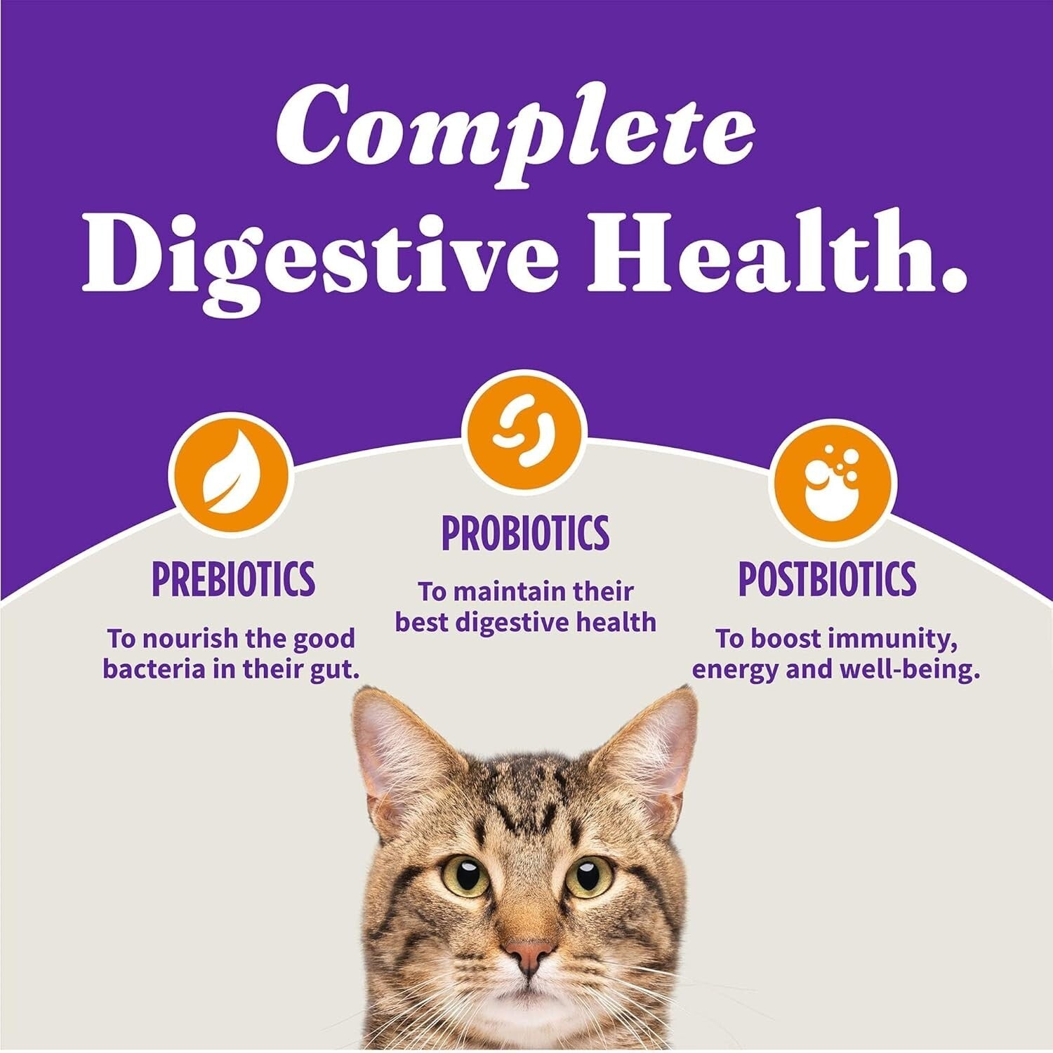 Premium Grain-Free Dry Cat Food with Added Vitamins - 10 lb for Optimal Health
