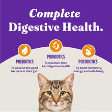 Load image into Gallery viewer, Premium Grain-Free Dry Cat Food with Added Vitamins - 10 lb for Optimal Health