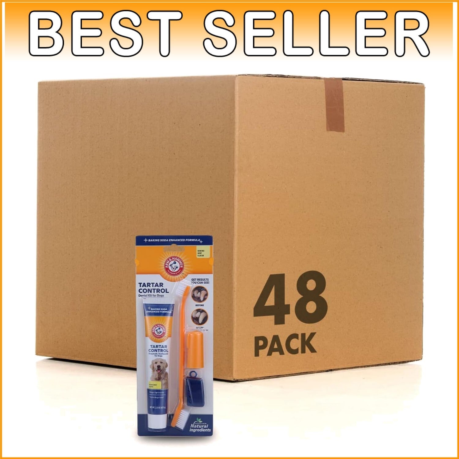 Premium Dog Dental Kit with Enzymatic Toothpaste & Safe Fingerbrush - 48 Count