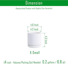 Load image into Gallery viewer, Lightweight White Ceramic Plant Pots with Saucer - Ideal for Indoor Plants