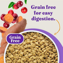 Load image into Gallery viewer, Premium Grain-Free Dry Cat Food with Added Vitamins - 10 lb for Optimal Health