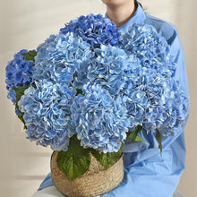 Load image into Gallery viewer, Stunning 21in Blue Hydrangea Floral Arrangement - 4 Artificial Flowers