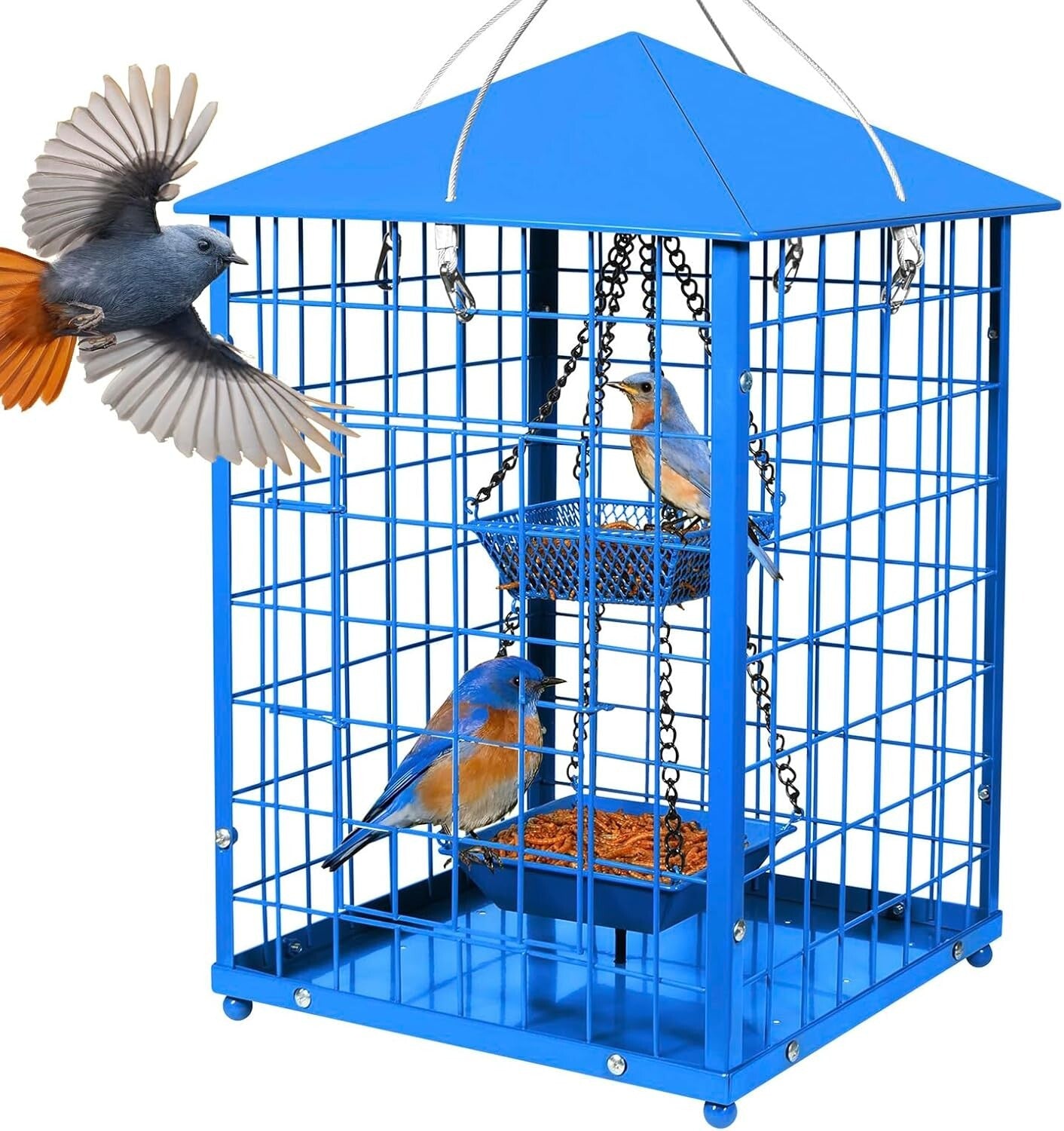 Durable Caged Bird Feeder for Bluebirds - Holds 2lbs, Includes Mealworms Cup