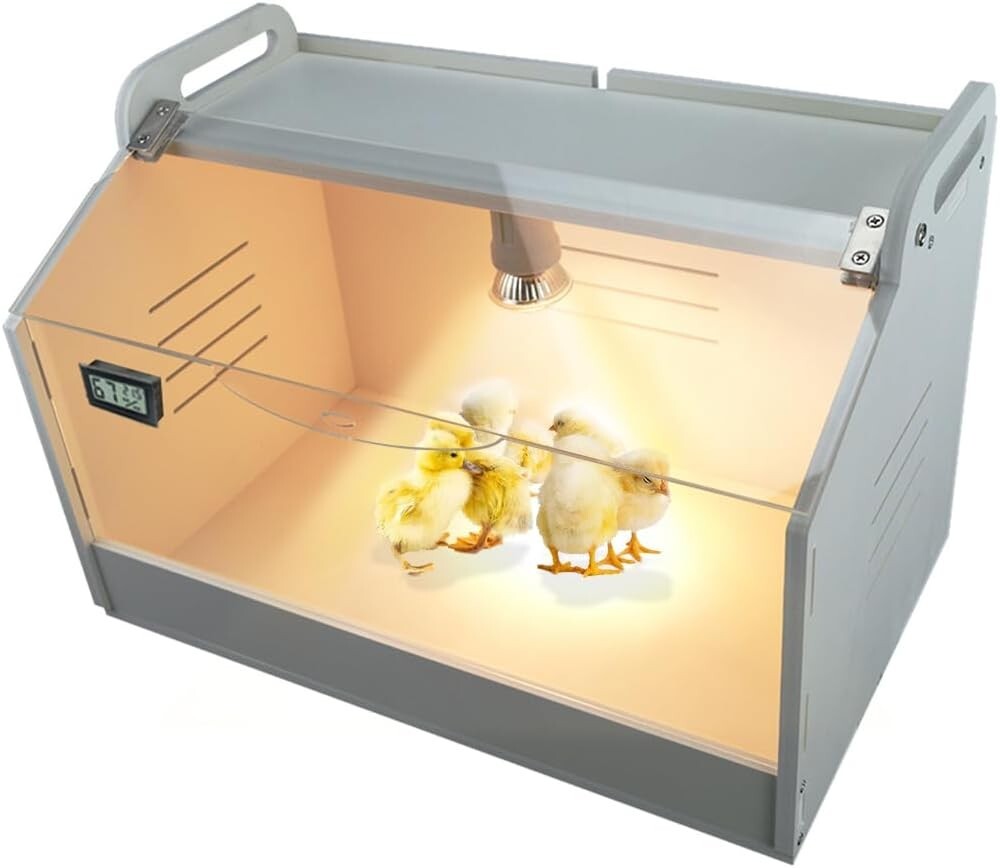Compact Intelligent Brooder Box for 10-15 Chicks & Quail - Digital Temp Control