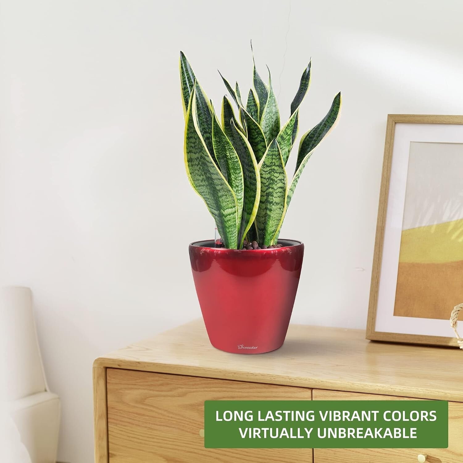 3L High Gloss Self-Watering Planter 9x8 Inches - Indoor/Outdoor Plant Care