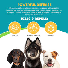 Load image into Gallery viewer, Lightweight Water-Resistant Pet Collar Tag for Year-Round Protection - 12 Months