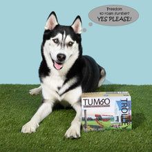 Load image into Gallery viewer, Durable 150ft Aerial Dog Trolley System - Ideal for Small and Large Breeds
