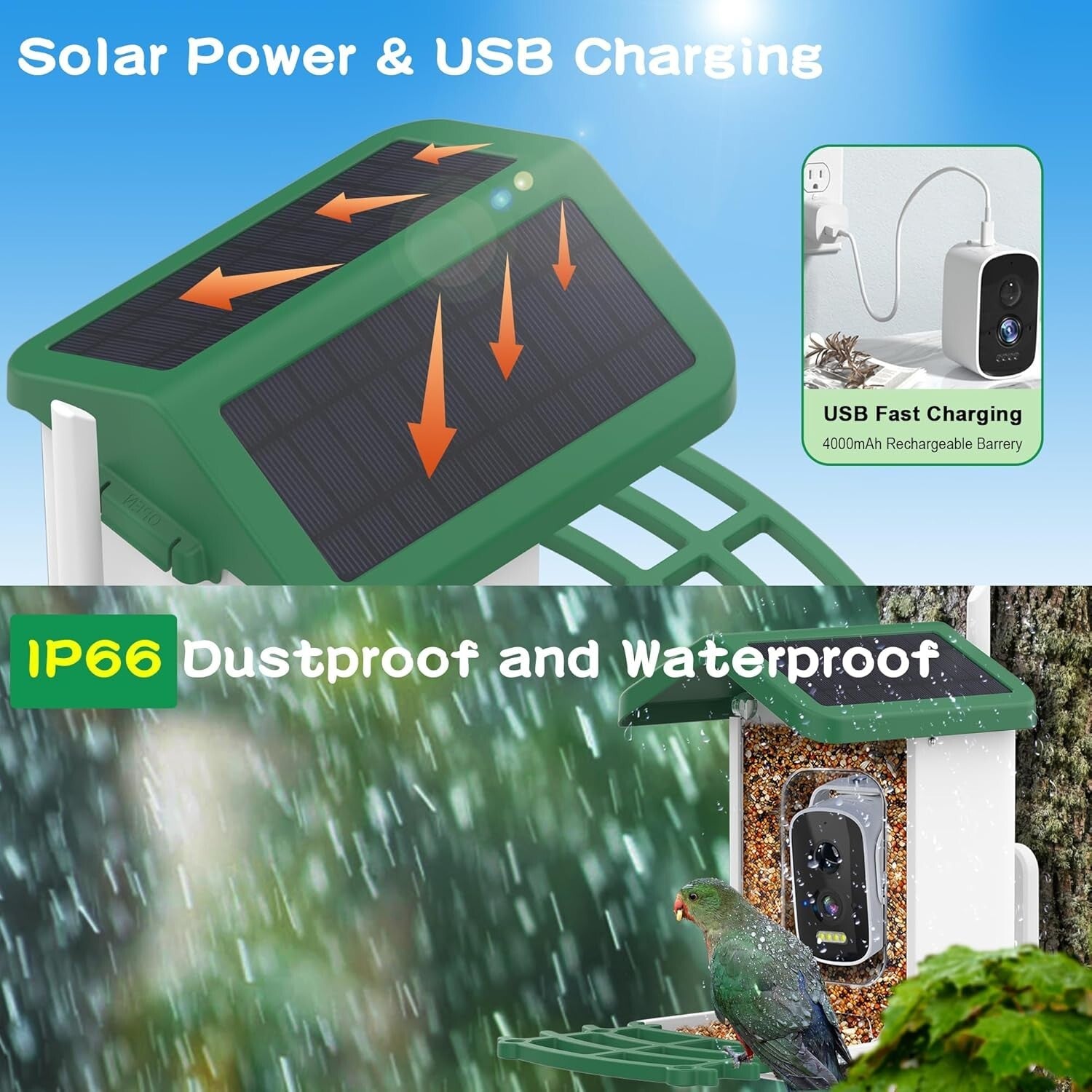 Weatherproof Bird Feeder Camera with Live View – Instant Notifications & Sharing