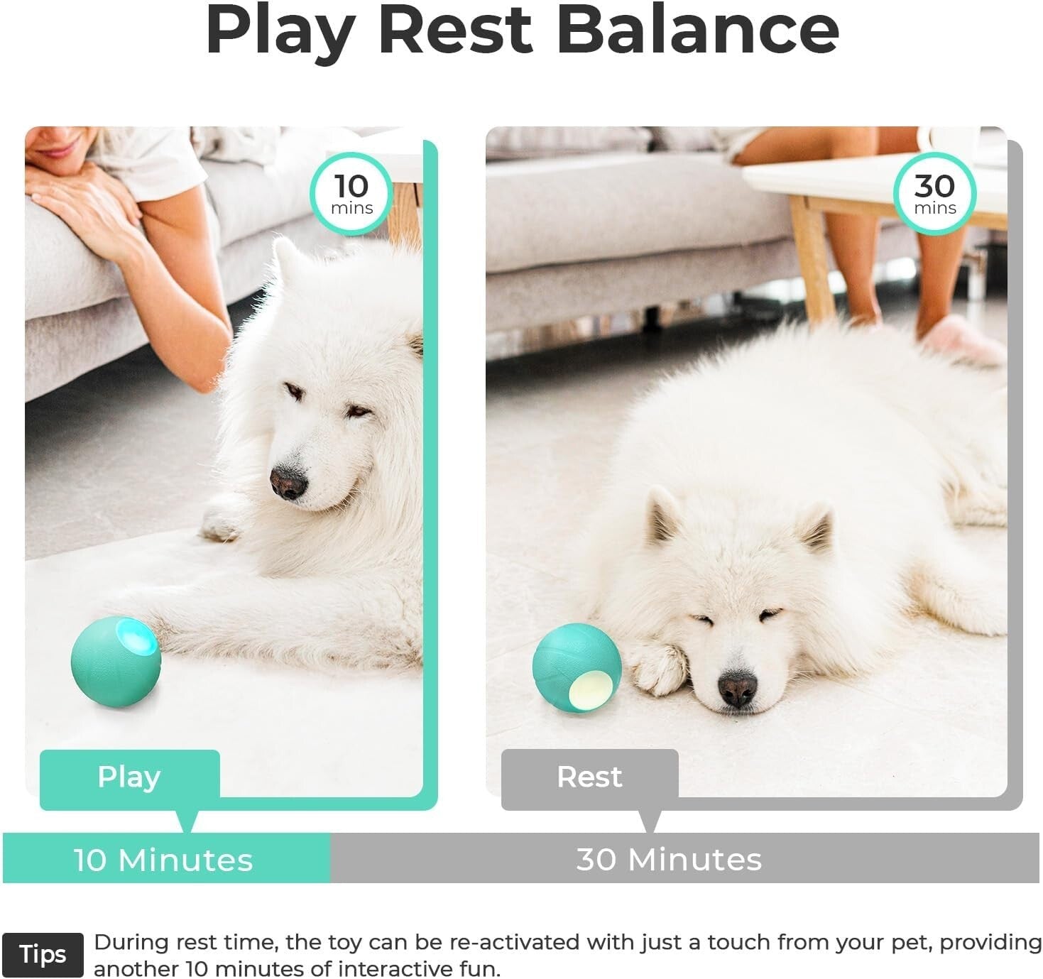 Active Rolling Dog Toy Ball - LED Light & Durable Design for Medium/Large Dogs