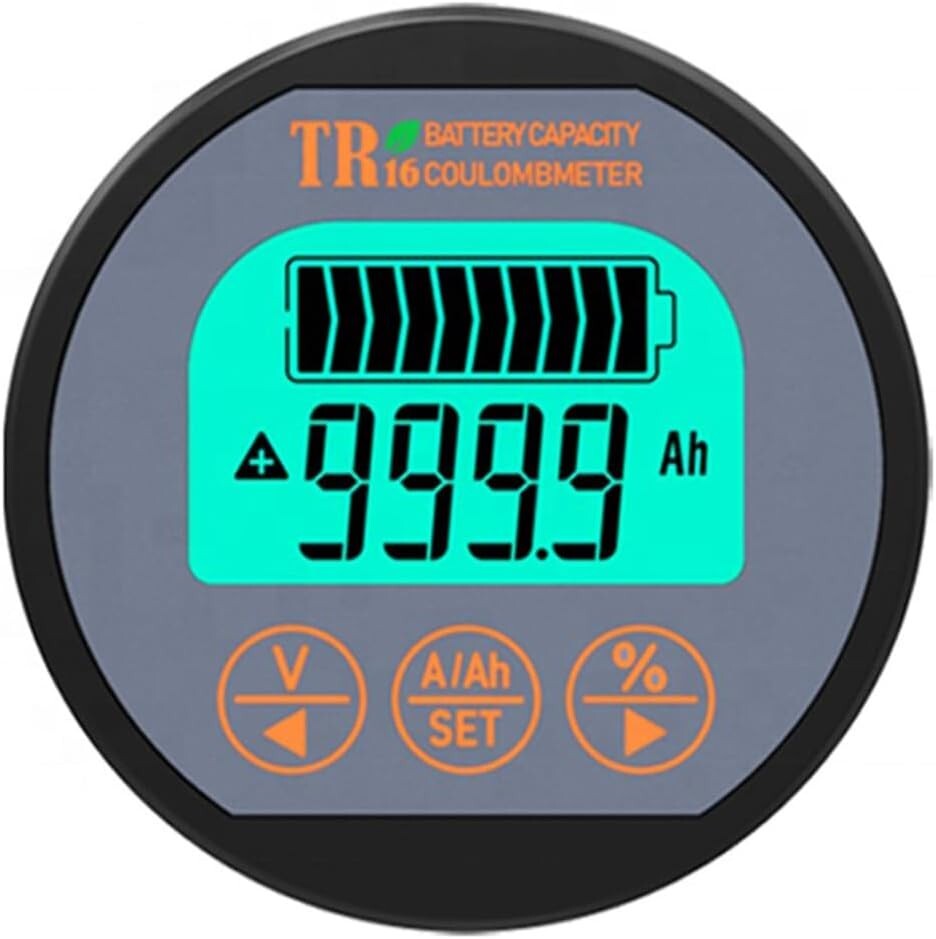 Electric Vehicle Battery Monitor: 8-80V, 0-100A - Reliable Performance Tracker
