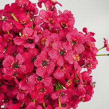 Load image into Gallery viewer, Eye-catching 72 Bundles of Rose Red Fake Flowers - Perfect for All Occasions