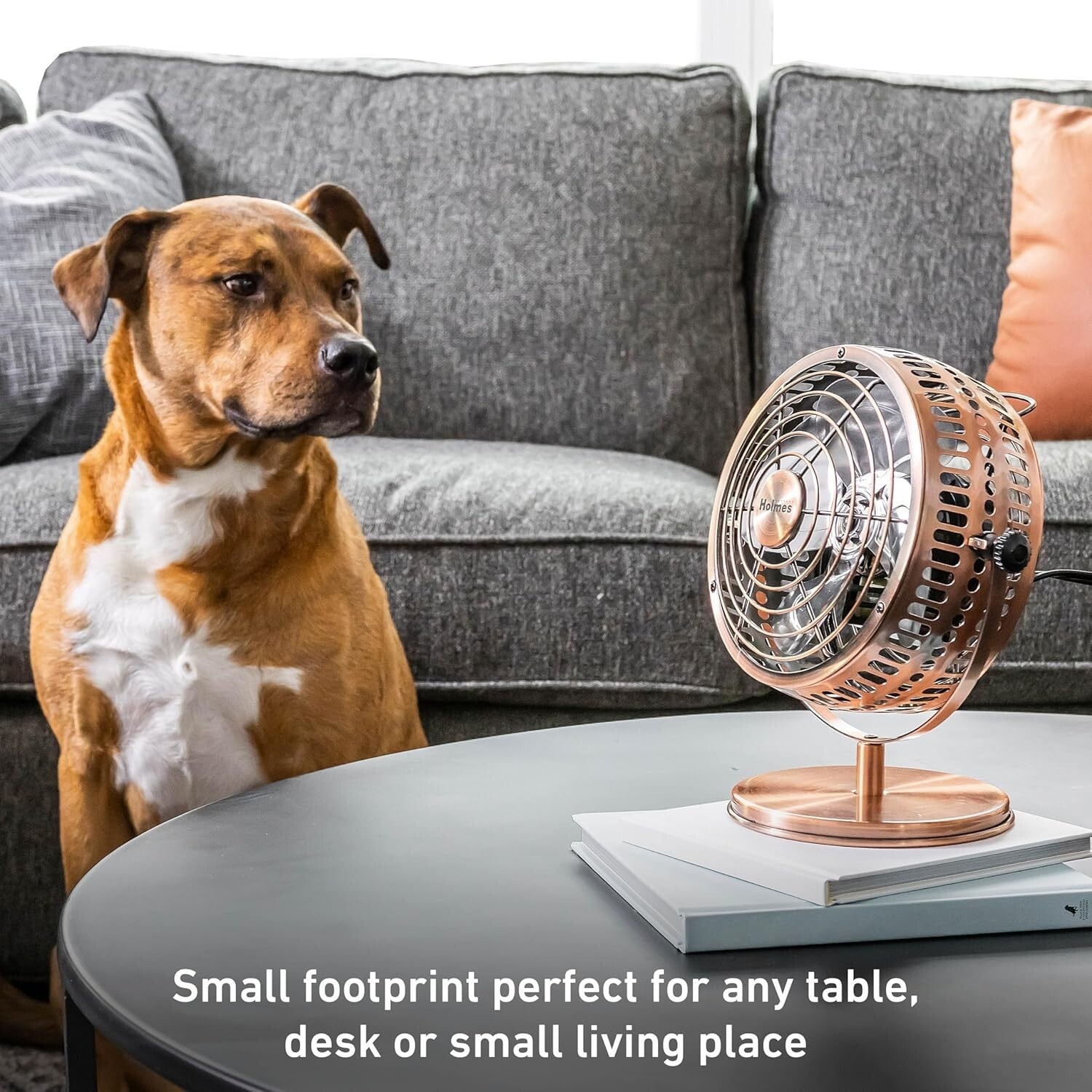 Elegant 6-Inch Desk Fan with Brushed Copper Finish - Home & Office Essential