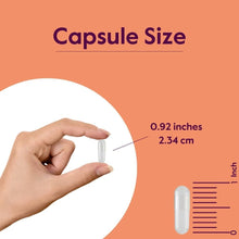 Load image into Gallery viewer, 500mg L-Leucine Capsules (480 Veg Caps) - Pure Protein Synthesis Support