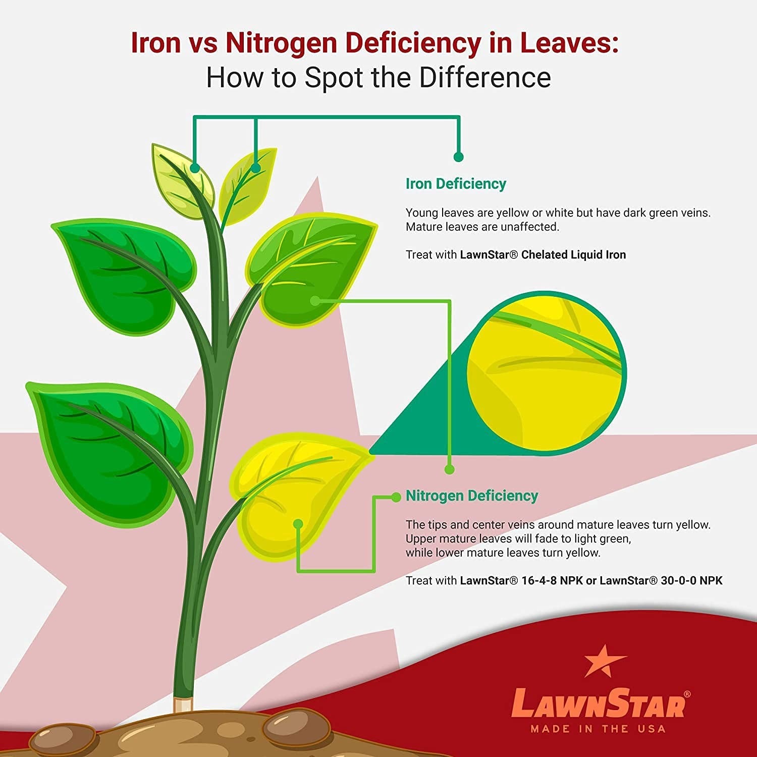 1 Gal Liquid Iron for Fast Plant Recovery & Vibrant Lawn - Multi-Purpose Use