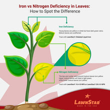 Load image into Gallery viewer, 1 Gal Liquid Iron for Fast Plant Recovery &amp; Vibrant Lawn - Multi-Purpose Use