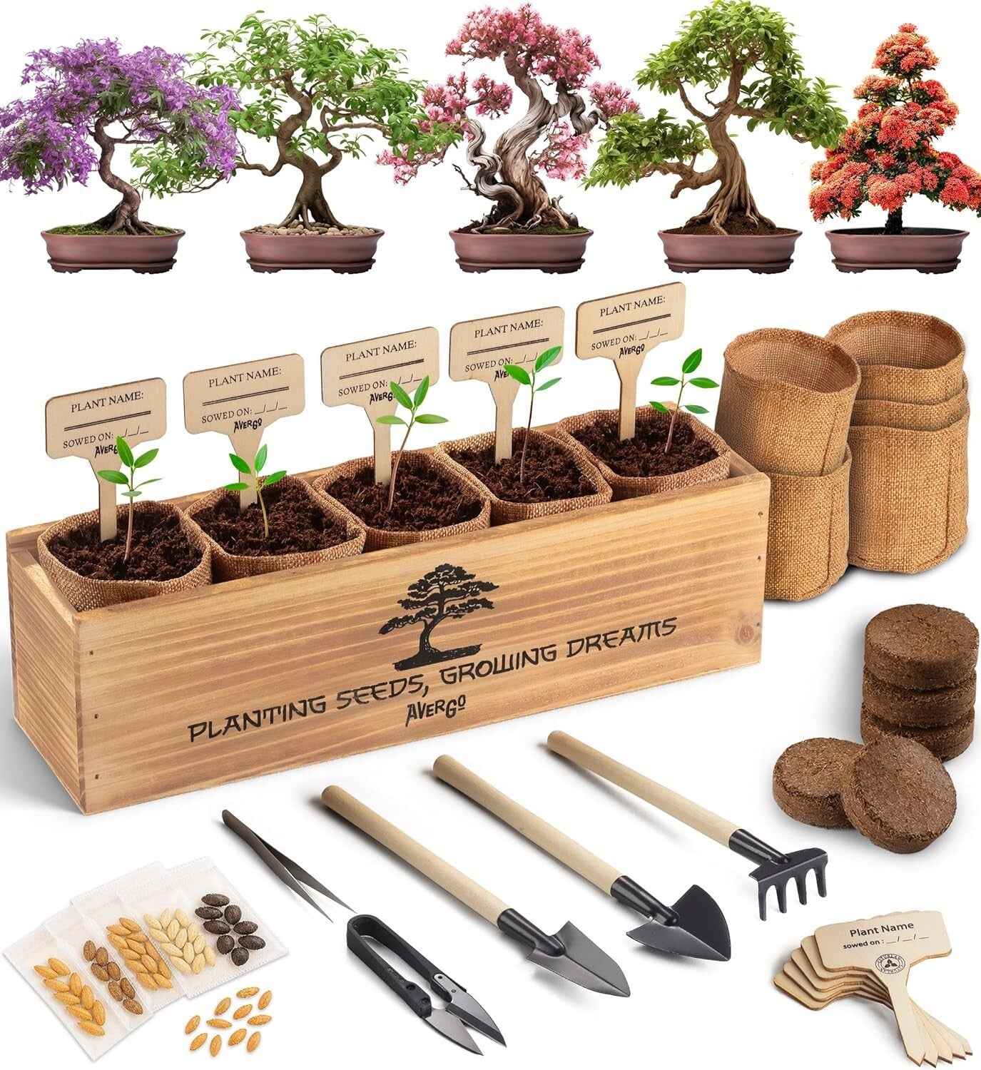 Organic Bonsai Tree Growing Kit with Easy Instructions – Ideal for Beginners