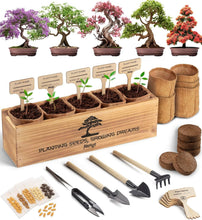 Load image into Gallery viewer, Organic Bonsai Tree Growing Kit with Easy Instructions – Ideal for Beginners