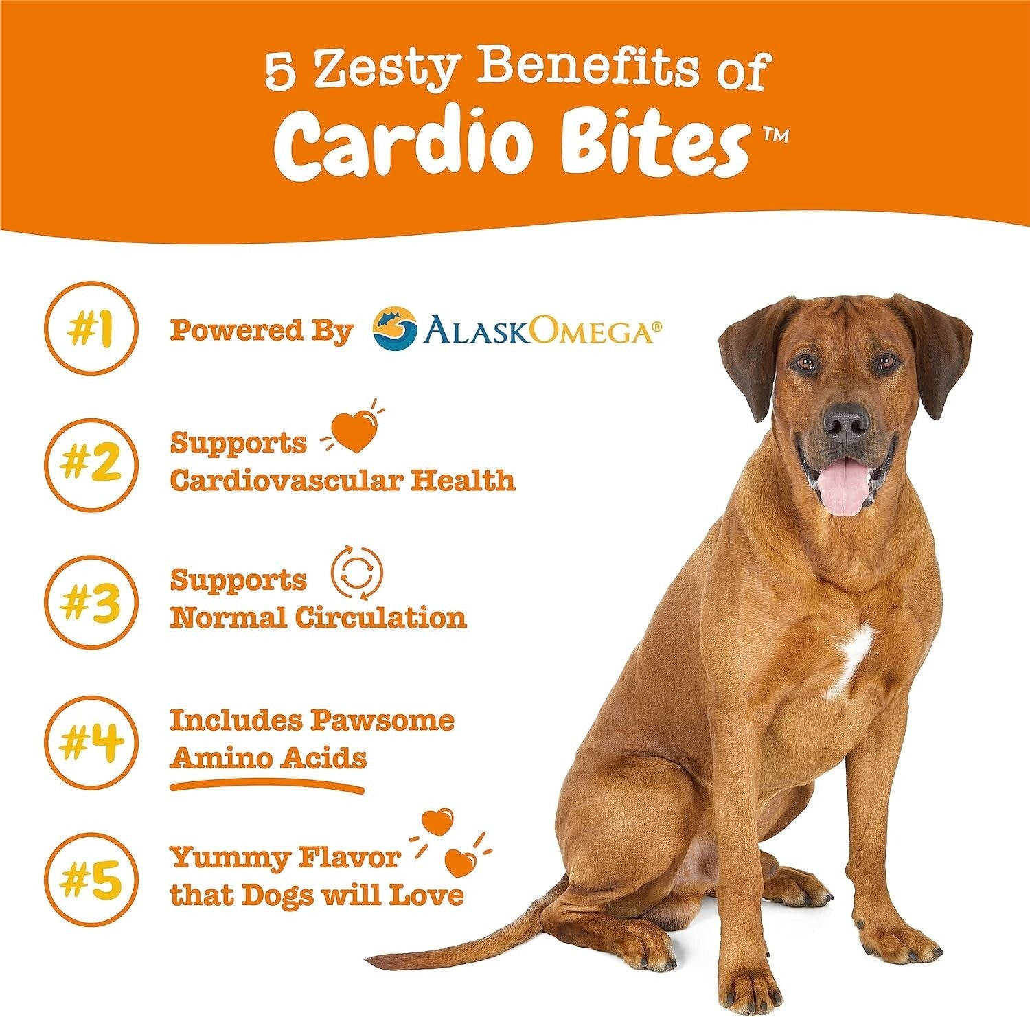 Cardiovascular Support for Dogs - Chewable Salmon Treats with CoQ10 & Omega-3