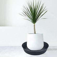 Load image into Gallery viewer, Pack of 4 Large 16 Inch Waterproof Plant Trays - 2.3 Inch Deep for All Pots