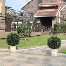 Load image into Gallery viewer, Maintenance-Free Boxwood Topiary Trees - 24" Stylish Decor for Every Space